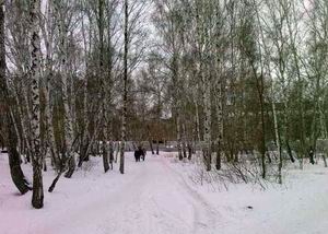 Парки особого значения