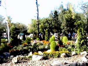 Чей адрес Семейная улица?