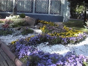 Сею, вею, вырубаю