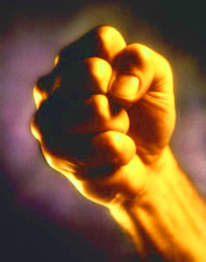 Держись, бизнес - проверка идет!