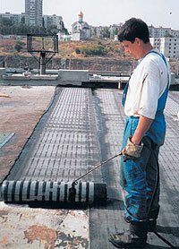 В доме главное - крыша