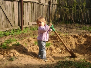 0,3 % положительной динамики