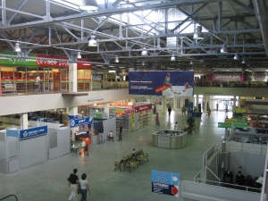 Большая медведица