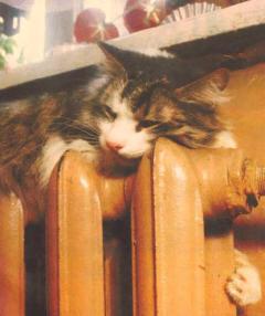 Подготовились на семерку