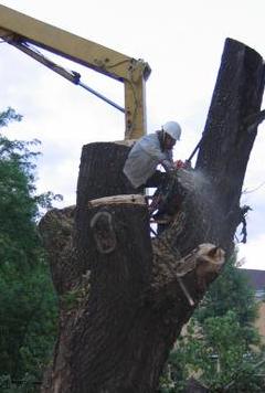 (С) www.remontnik.ru