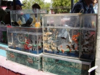 Хитрый рынок (С) www.rmx.ru