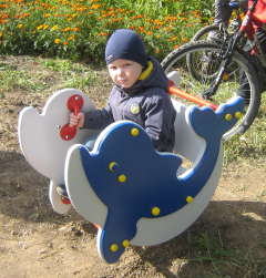 Качеля-дельфин