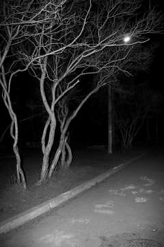 (С) www.fotokritik.ru