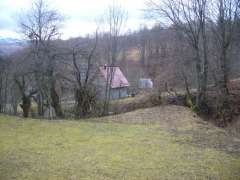 (С) www.de.cgreality.ru