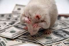 (C) www.interpress.ru