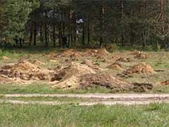 Чтоб никаких "экскурсий"