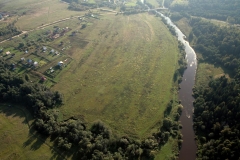 Деньги «растут» из земли