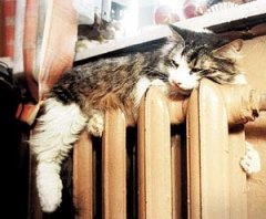 Теплее не становится...