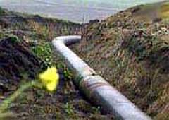 Бесхозяйным быть ему опасно