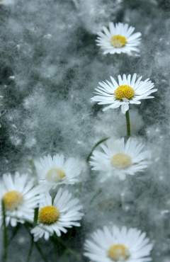 (С) light.lifeisphoto.ru