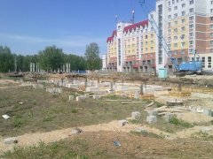 Публично утвержденный