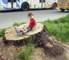 Иве на ул. Ленинградской было лет 100. Ее крона нависала над проезжей частью. Спилили в 2009 году.