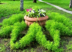 (С) Л. Елтышева, www.admomsk.ru