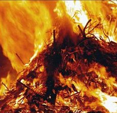 (c) www.dagpravda.ru