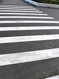 Омским "зебрам" обновят полоски