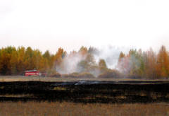 Поберегите леса