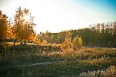 Чаще покупают, больше арендуют