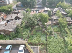 Кадастровая оценка земель в Омской области