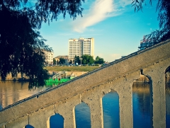 Сальдированный результат работы компаний в Омской области