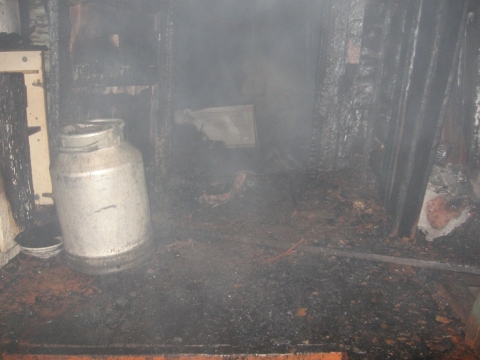 Пожары в Омской области Пожары в Омской области