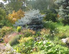 Омский дендрологический парк