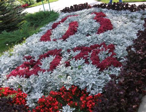 Омский дендрологический сад