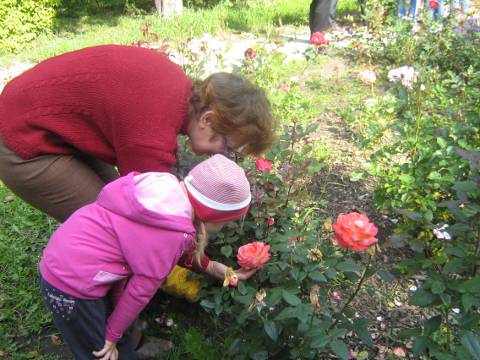Омский денрологический сад Омский денрологический сад