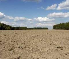 Кладбища в Омской области