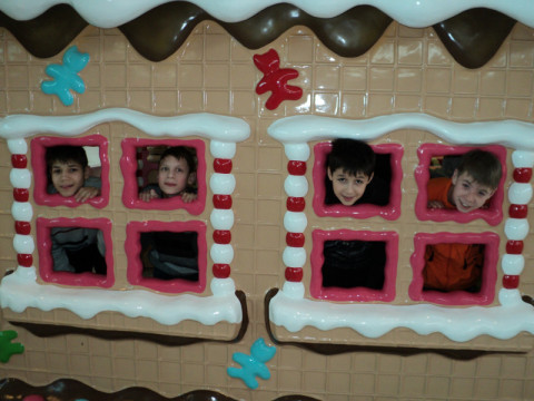 Благотворительность Благотворительность