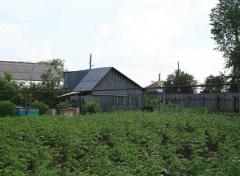 Огород в Омске