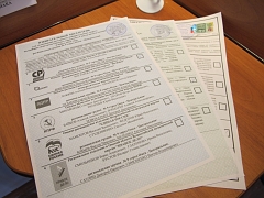 Выборы в России