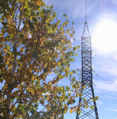 Фото (С) с сайта ОАО "МРСК Сибири"-"Омскэнерго"
