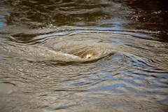 Происшествия на воде в Омской области