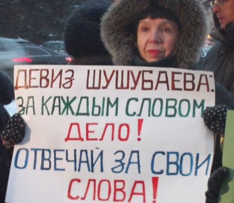 Дольщица микрорайона "Ясная поляна" на пикете