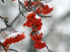 Погода в Омской области