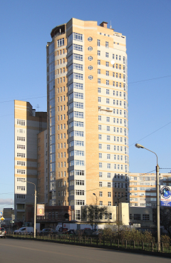 Дом по ул. Добровольского в Омске