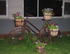 Озеленение в Омске