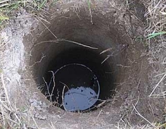 ЗАО &quot;Старатель&quot; в Омске