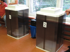 Выборы в Омской области