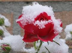 Погода в Омск