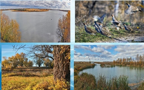 "Пойма Любинская"