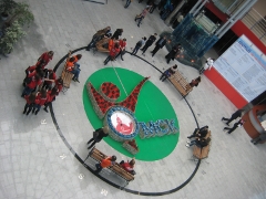 Соцопросы об Омске