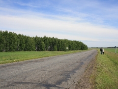 Авария в Омской области