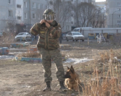 Фото (С) ГУ МЧС по Омской области