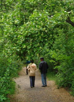 Дендропарк им. Комиссарова в Омске